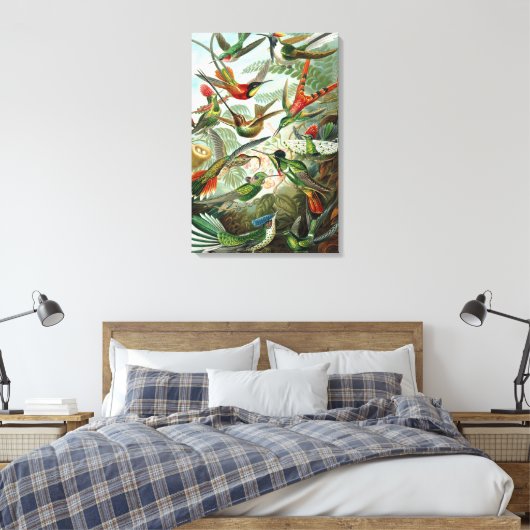 Hummingvogels door Ernst Haeckel,  vogelbomen Canvas Afdruk (Insitu (Slaapkamer))