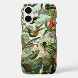 Hummingvogels door Ernst Haeckel, vogelbomen iPhone 16 Hoesje