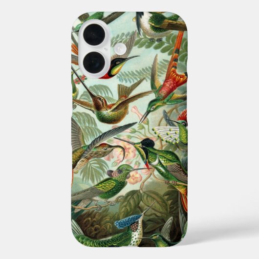 Hummingvogels door Ernst Haeckel, vogelbomen Case-Mate iPhone Case (Achterkant)