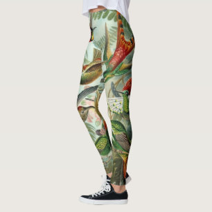 Hummingvogels door Ernst Haeckel,  vogelbomen Leggings