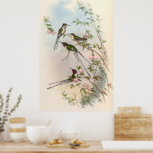 Hummingvogels door John Gould Poster (Keuken)