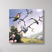 Hummingvogels en appelbloesems, canvas afdruk (Voorkant)