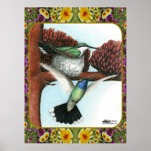 Hummingvogels en bloemen #3 poster
