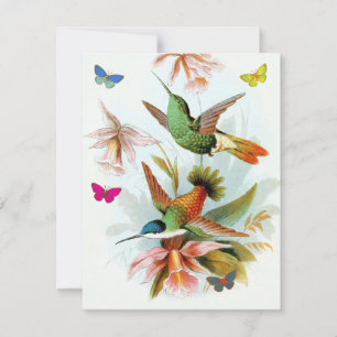 Hummingvogels en Butterflies  Bedankkaart