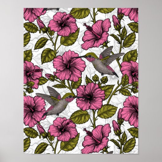 Hummingvogels en roze hibiscus bloemen poster (Voorkant)