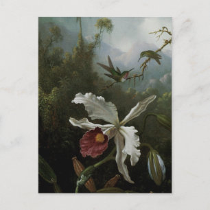 Hummingvogels en White Orchid van Martin J. Heade Briefkaart