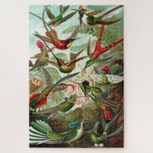 Hummingvogels - Ernst Haeckel Legpuzzel