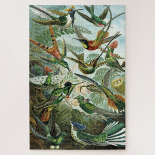 Hummingvogels - Ernst Haeckel Legpuzzel
