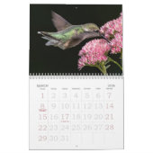 Hummingvogels Grote Vogelstand Kalender (Mar 2026)