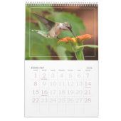 Hummingvogels Grote Vogelstand Kalender (Feb 2026)
