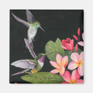 Hummingvogels in de Plumeria Magneet
