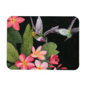 Hummingvogels in de Plumeria Magneet (Horizontaal)