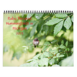 Hummingvogels in Michigan Kalender