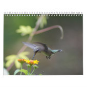 Hummingvogels Jaar van de Ronde Kalender (Hoes)