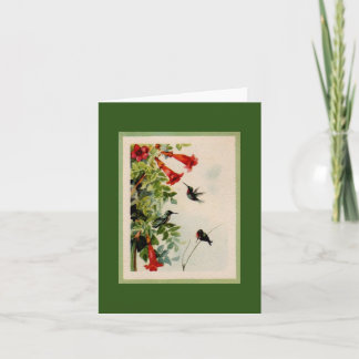 Hummingvogels Kaart