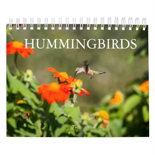 Hummingvogels Kalender (Hoes)