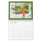 Hummingvogels Kalender (Jan 2027)