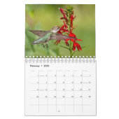 Hummingvogels Kalender (Feb 2026)