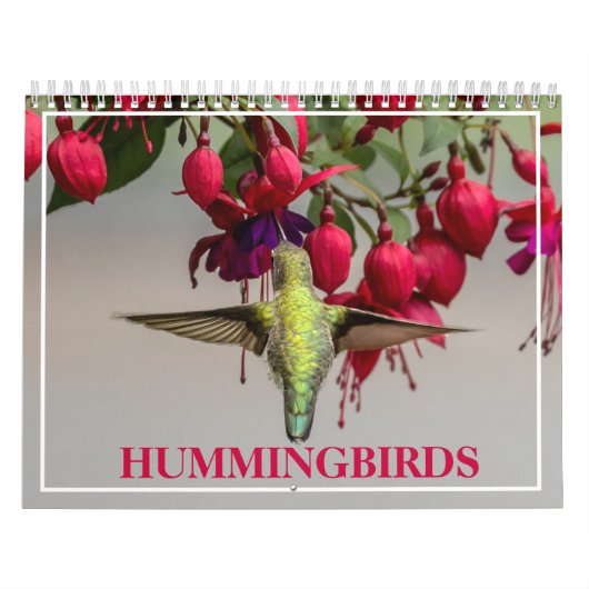Hummingvogels Kalender (Hoes)