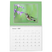 Hummingvogels Kalender (Jan 2027)