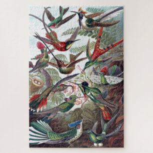  Hummingvogels Kunst ter illustratie van oud boek Legpuzzel