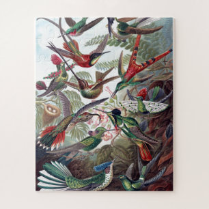 Hummingvogels Kunst ter illustratie van oud boek Legpuzzel