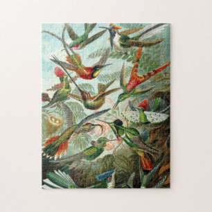 Hummingvogels Legpuzzel