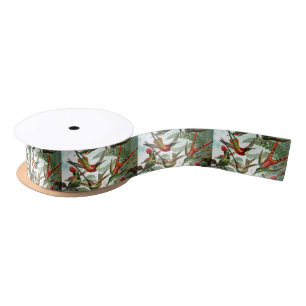 Hummingvogels Lint