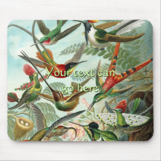  Hummingvogels Muismat