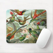 Hummingvogels Muismat (Met muis)