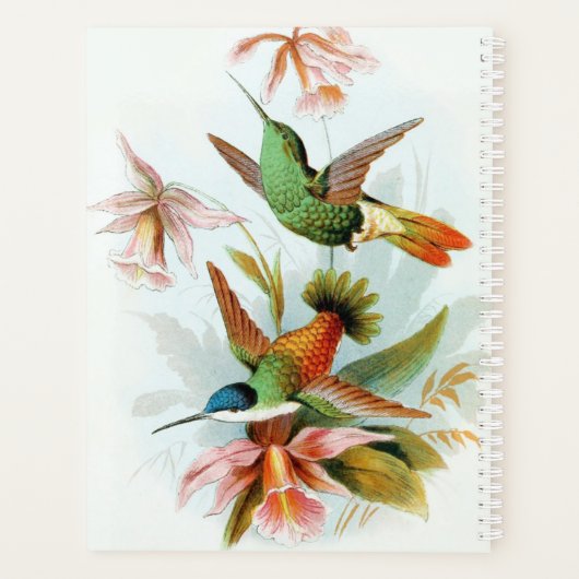 Hummingvogels Planner (Achterkant)