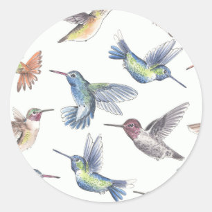 Hummingvogels Ronde Sticker