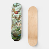 Hummingvogels Skateboard (Voorkant)