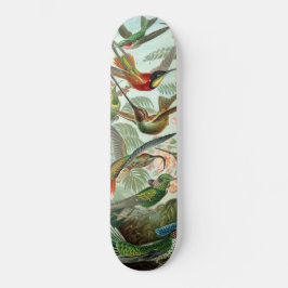 Hummingvogels Skateboard