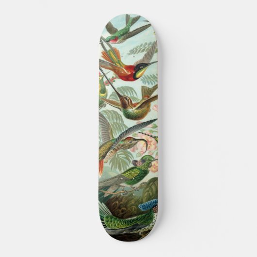 Hummingvogels Skateboard (Voorkant)