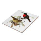 Hummingvogels Tegeltje (Zijkant)