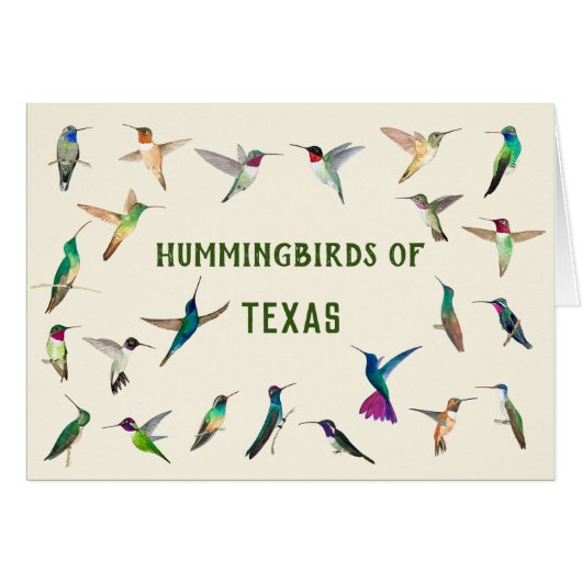 Hummingvogels uit Texas (Voorkant Horizontaal)
