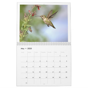 Hummingvogels van Californië 2021-kalender Kalender