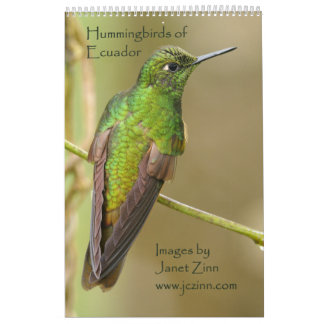 Hummingvogels van de Ecuadoraanse kalender