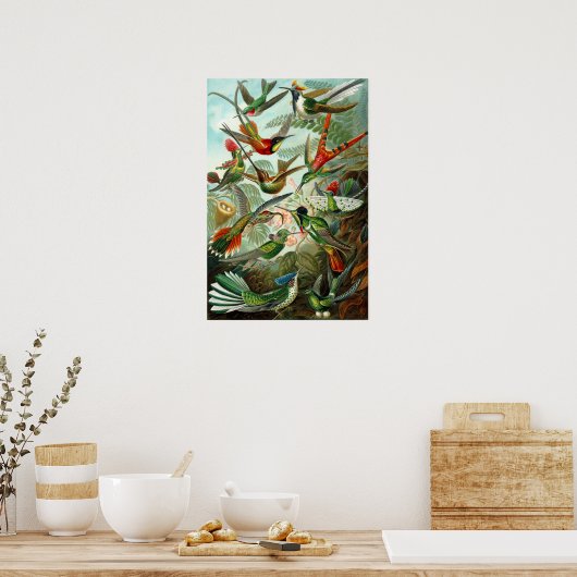 Hummingvogels van Ernst Haeckel Poster (Keuken)