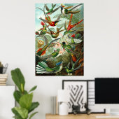 Hummingvogels van Ernst Haeckel Poster (Thuiskantoor)