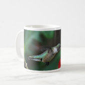 Humminvogel Mok (Voorkant links)