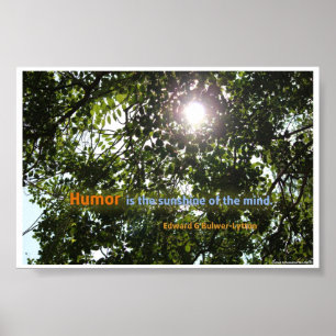 "Humor is de zonneschijn van de geest" Citaat Poster