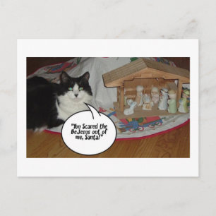 Humor met kerstzwarte en witte kat feestdagenkaart