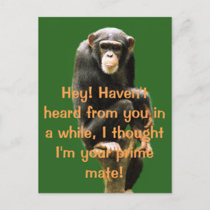 Humor Post Card Briefkaart