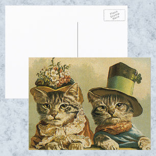  Humor, Victoriaans Bride Groom Katten in Petten Briefkaart