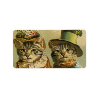 Humor, Victoriaans Bride Groom Katten in Petten