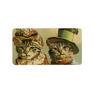  Humor, Victoriaans Bride Groom Katten in Petten Etiket
