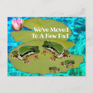 Humorische kikkers Lilies Pad We verhuisden de aan Briefkaart