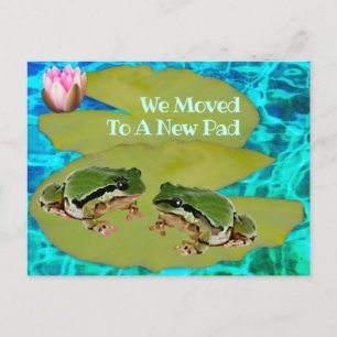 Humorische kikkers Lilies Pad We verhuisden de aan Briefkaart
